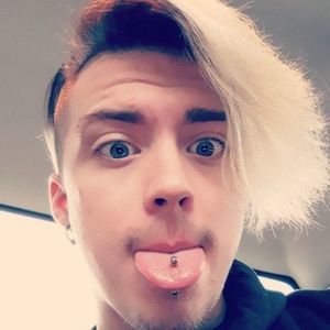 Meet your Posher, Royce